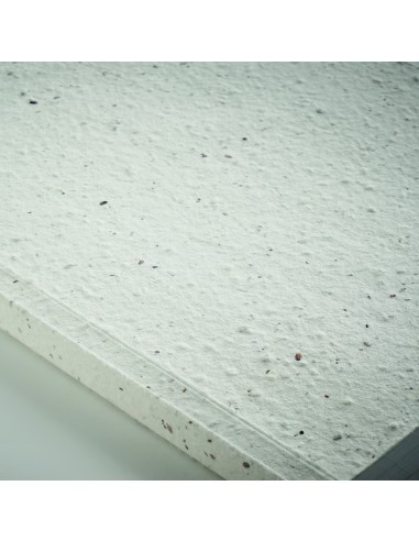 Libreta A5 tapas de semillas 7MO2082