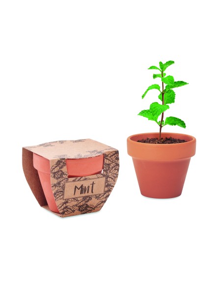 Maceta con semillas de menta 7MO2218