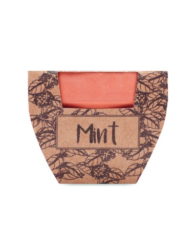 Maceta con semillas de menta 7MO2218