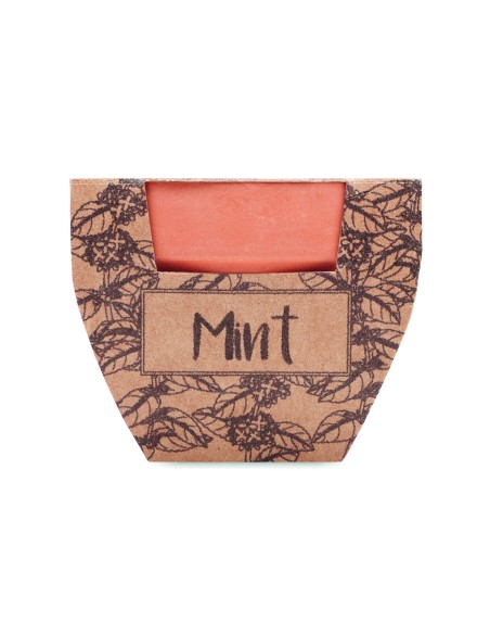 Maceta con semillas de menta 7MO2218