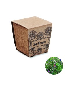 Kit de cultivo de girasoles 7MO2411