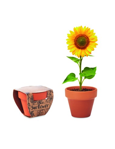 Juego de macetas de terracota 7MO6147