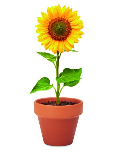 Juego de macetas de terracota 7MO6147