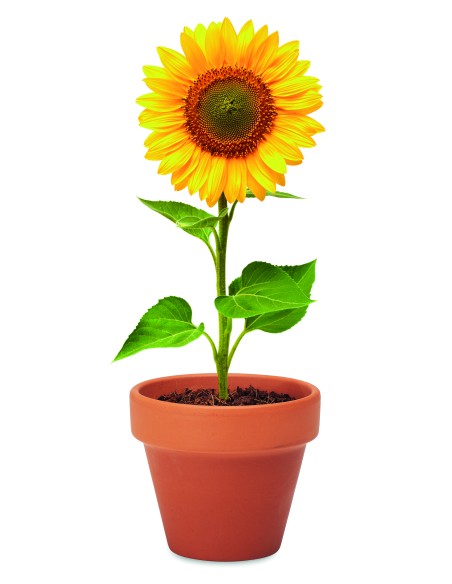 Juego de macetas de terracota 7MO6147