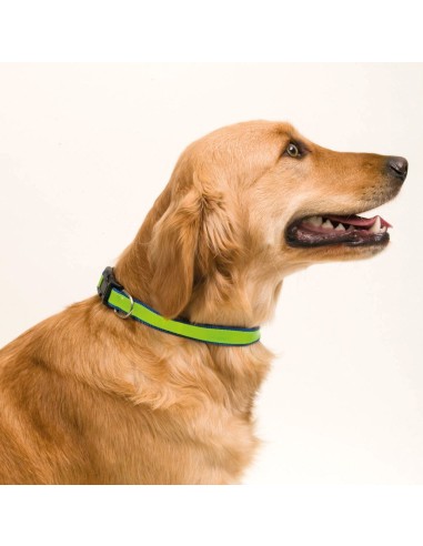 Collar Personalizado 83063