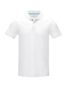 Polo orgánico de manga corta para hombre Personalizado 637508 - Imagen 8