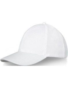 Gorra de camionero de 6 paneles Personalizado 638680