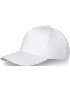 Gorra Doyle de 5 paneles personalizada