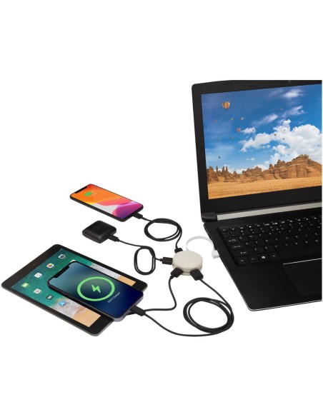 Hub USB de paja de trigo Personalizado 6124309