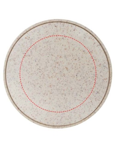 Hub USB de paja de trigo Personalizado 6124309