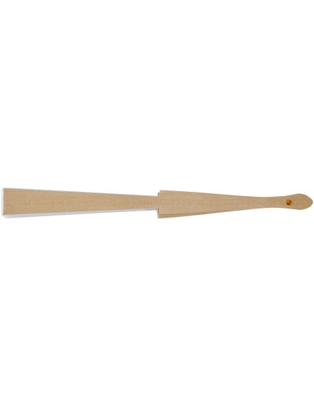 Abanico Personalizado 6127041