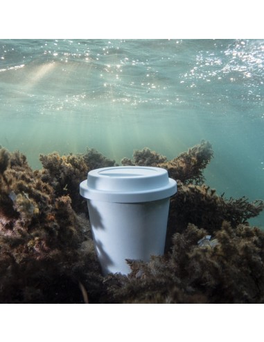 Vaso Personalizado 86676