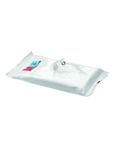 Toallitas Húmedas Refrescantes en Bolsa Individual | Goodie