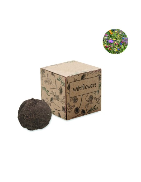 Kit de Cultivo de Semillas de Flores Silvestres | Goodie