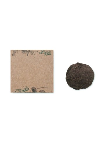 Kit de Cultivo de Semillas de Flores Silvestres | Goodie