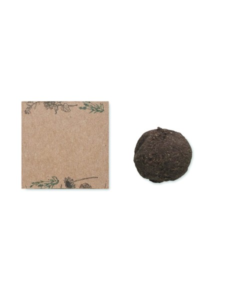 Kit de Cultivo de Semillas de Flores Silvestres | Goodie