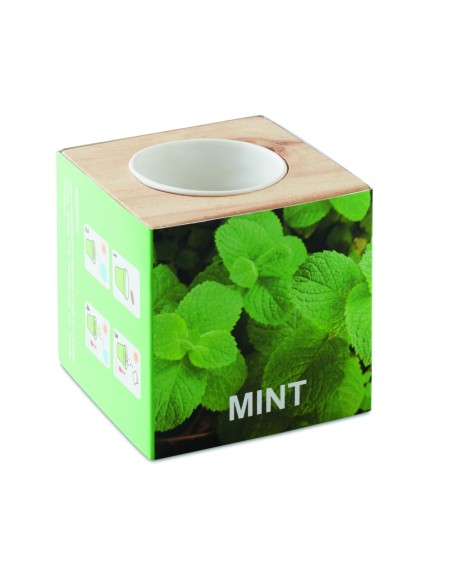 Maceta con Semillas de Menta en Caja de Madera | Goodie