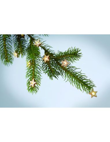 Guirnalda de 20 luces LED Personalizada 7CX1462