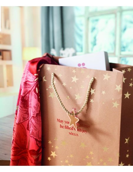 Bolsa de papel de regalo Personalizada 7CX1497