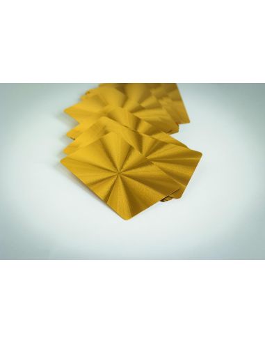 Naipes impermeables Personalizado 7MO2699