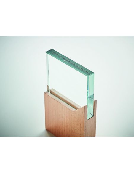 Placa o trofeo de cristal Personalizada 7MO6585