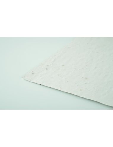 Hoja A4 de papel con semillas Personalizada...