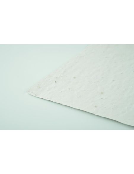 Hoja A4 de papel con semillas Personalizada 7MO6914