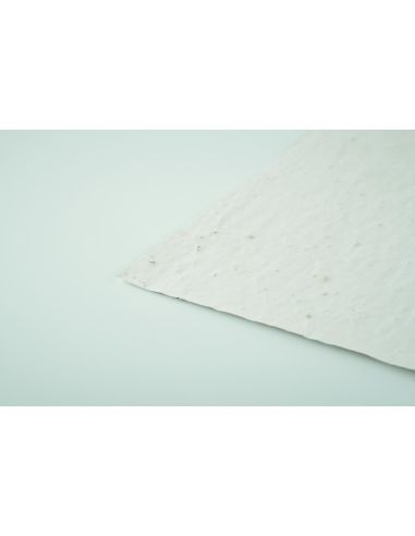 Hoja A6 de papel con semillas Personalizada...