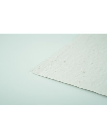 Hoja A6 de papel con semillas Personalizada 7MO6916