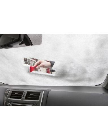 Rascador de hielo triangular personalizado | Goodie