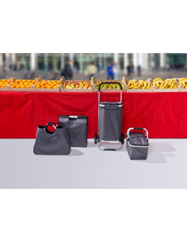 Carro isotérmico de poliéster Personalizado 107561