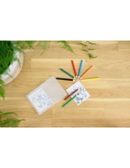 Set de Colorear Personalizado | 8 Lápices y 20 | Goodie