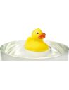 Pato de goma de PVC Personalizado 108238 - Imagen 4