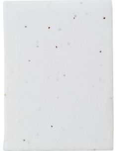 Notas adhesivas con semillas Personalizada 10864476