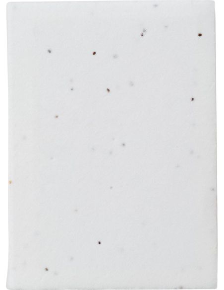 Notas adhesivas con semillas Personalizada 10864476