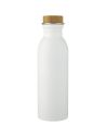 Botella de acero inoxidable de 650 ml Personalizada 6100677 - Imagen 14