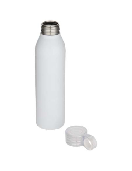 Botella de 650 ml de acero inoxidable con certificado RCS \ Personalizada 6100869