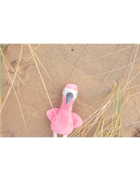 Flamenco de Peluche Personalizado | Goodie