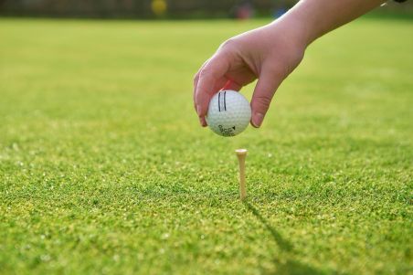 Set de tees de golf de madera | Goodie