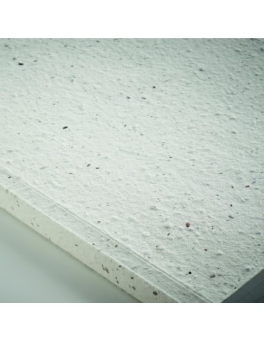 Libreta A5 tapas de semillas Personalizada 7MO2082