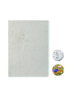 Hoja A5 de papel con semillas Personalizada 7MO6915