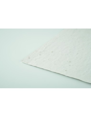 Hoja A5 de papel con semillas Personalizada...