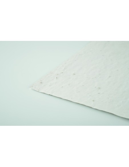 Hoja A5 de papel con semillas Personalizada 7MO6915