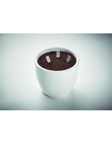 Palitos de semillas Personalizado 7MO6927