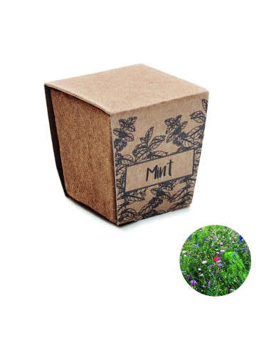 Kit cultivo semillas de menta Personalizado...