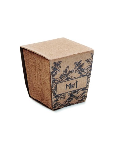 Kit cultivo semillas de menta Personalizado...