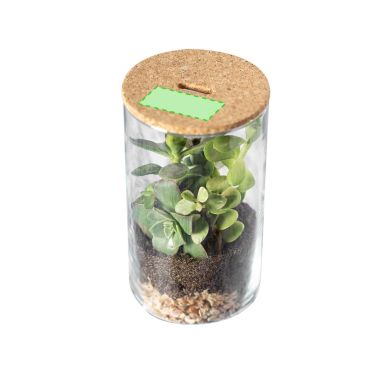 Terrarium Personalizado 82692