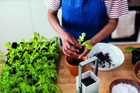 Jardín interior con luz LED Personalizado 7MO2702