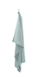 GRIS