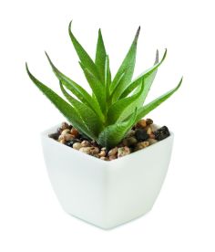 Mini planta artificial Personalizada 7MO2852